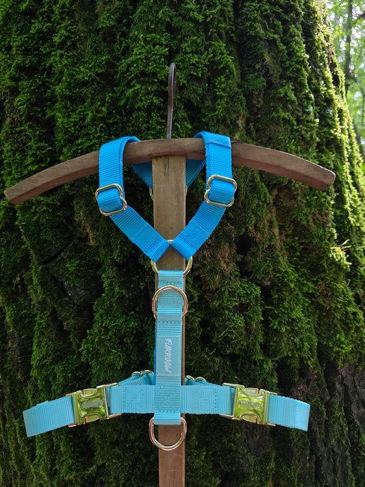 Turqouise en Island Blue - Hondentuig