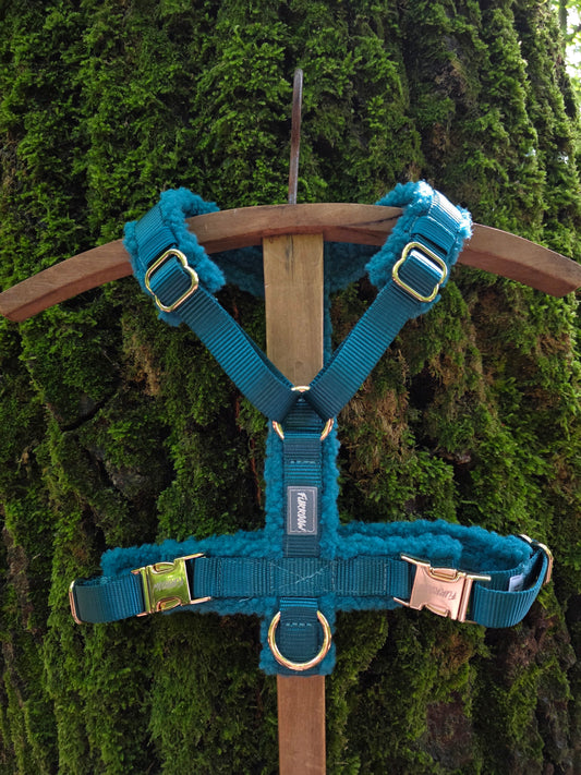 Jade - Hondentuig Teddy