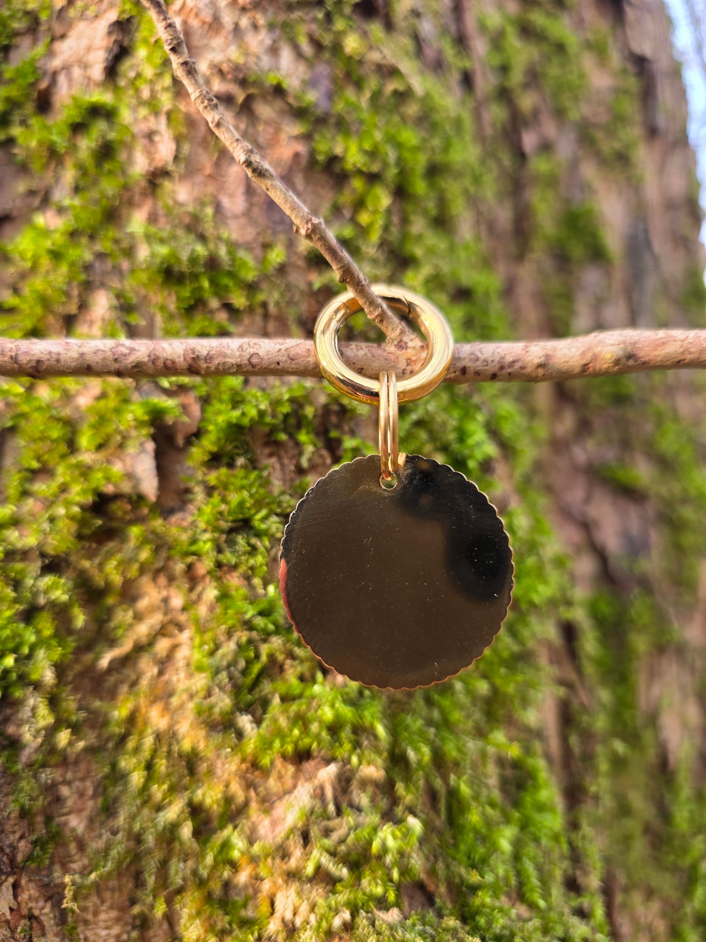 Adopted & Adored | Goud