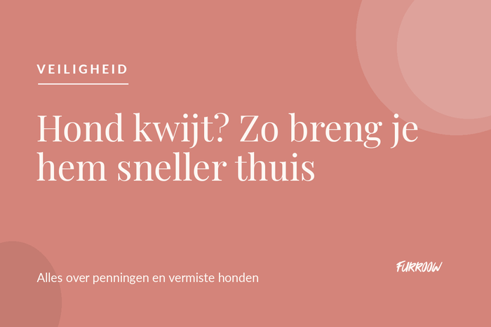 Hond kwijt, een hondenpenning met naam brengt hem sneller thuis