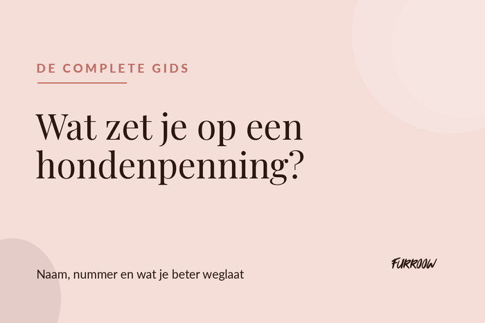 Wat zet je op een hondenpenning, complete gids