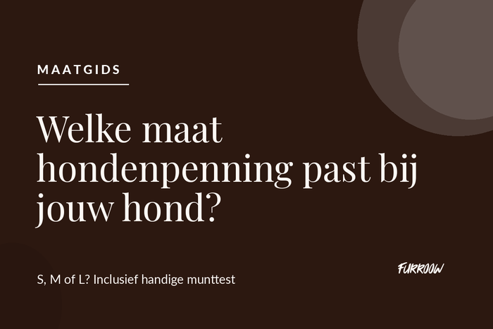 Welke maat hondenpenning past bij jouw hond