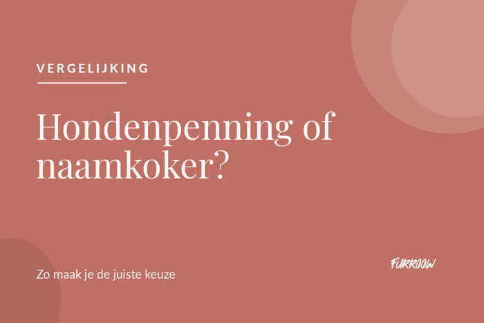 Hondenpenning of naamkoker vergelijken