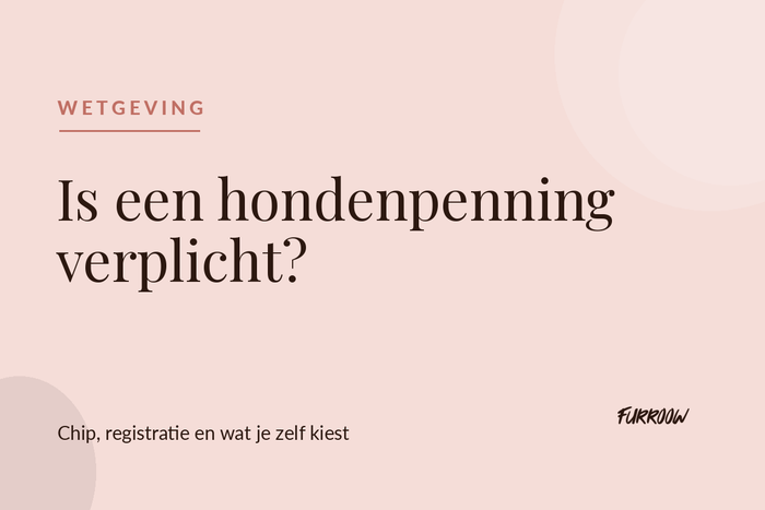 Is een hondenpenning verplicht in Nederland