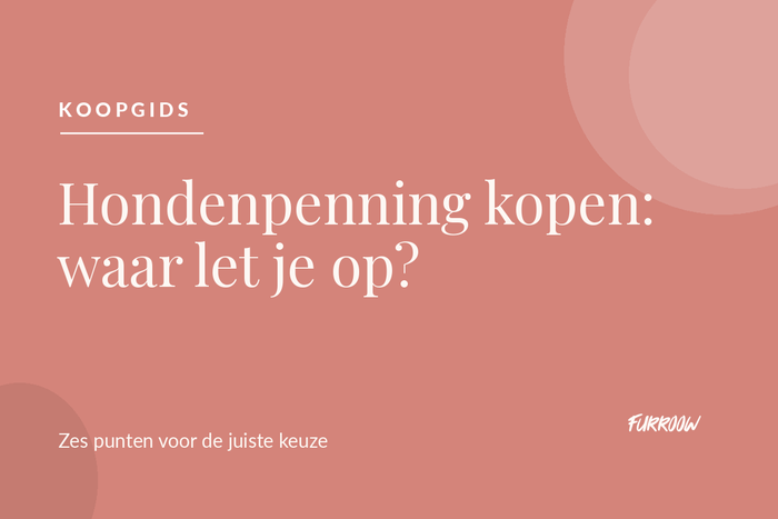 Hondenpenning kopen waar moet je op letten