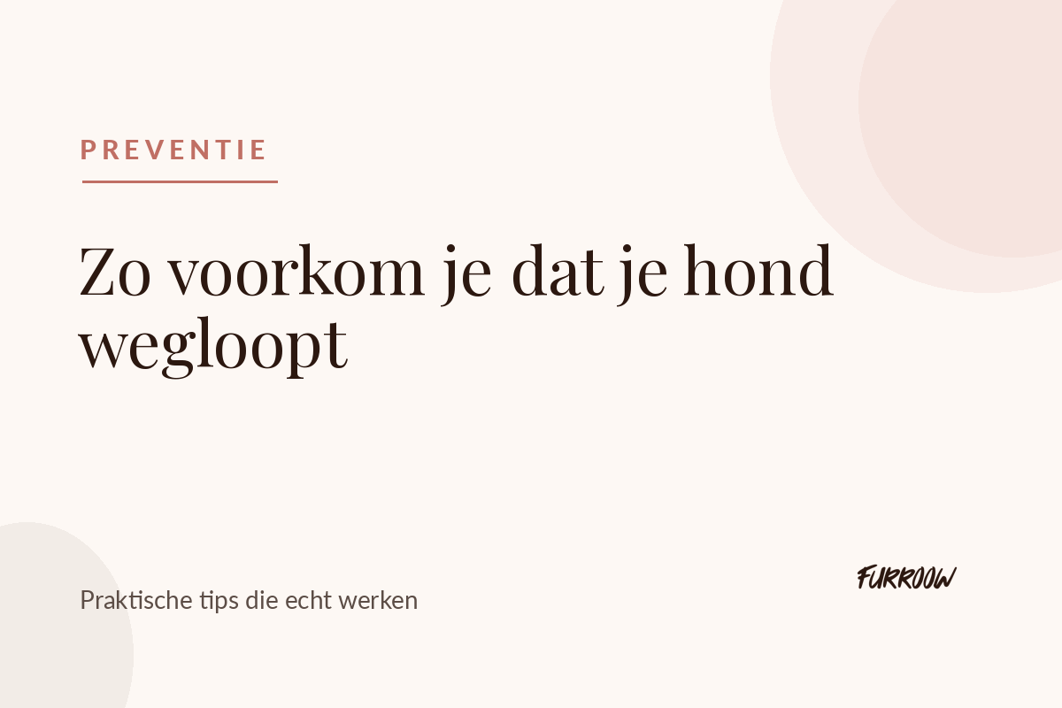 Voorkomen dat je hond wegloopt tips