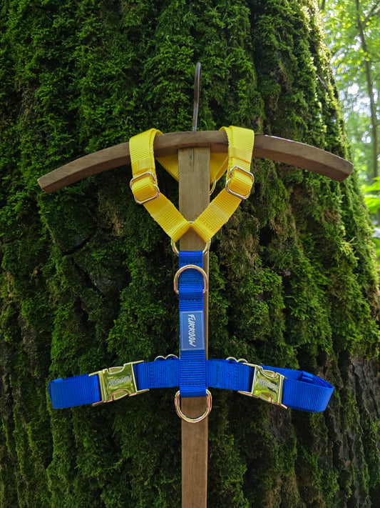 Royal Blue en Sunshine Yellow - Hondentuig