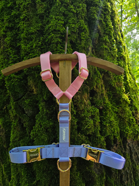 Lavendel en Blossom Pink - Hondentuig