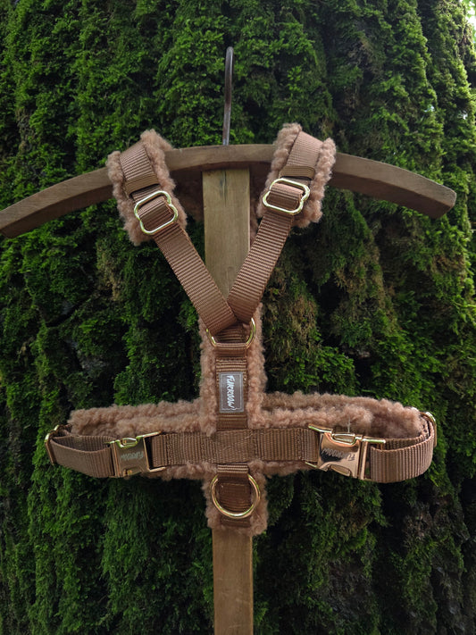 Mokka - Hondentuig Teddy