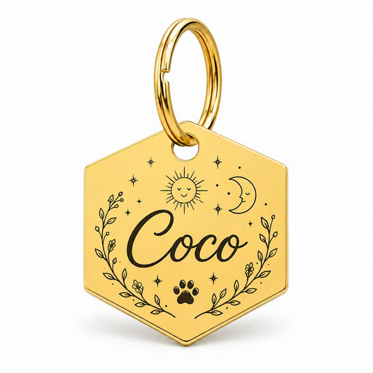 Gouden hexagon hondenpenning met zon en maan, gegraveerd met naam