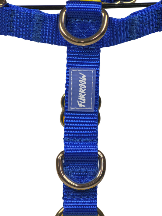 Royal Blue en Sunshine Yellow - Hondentuig