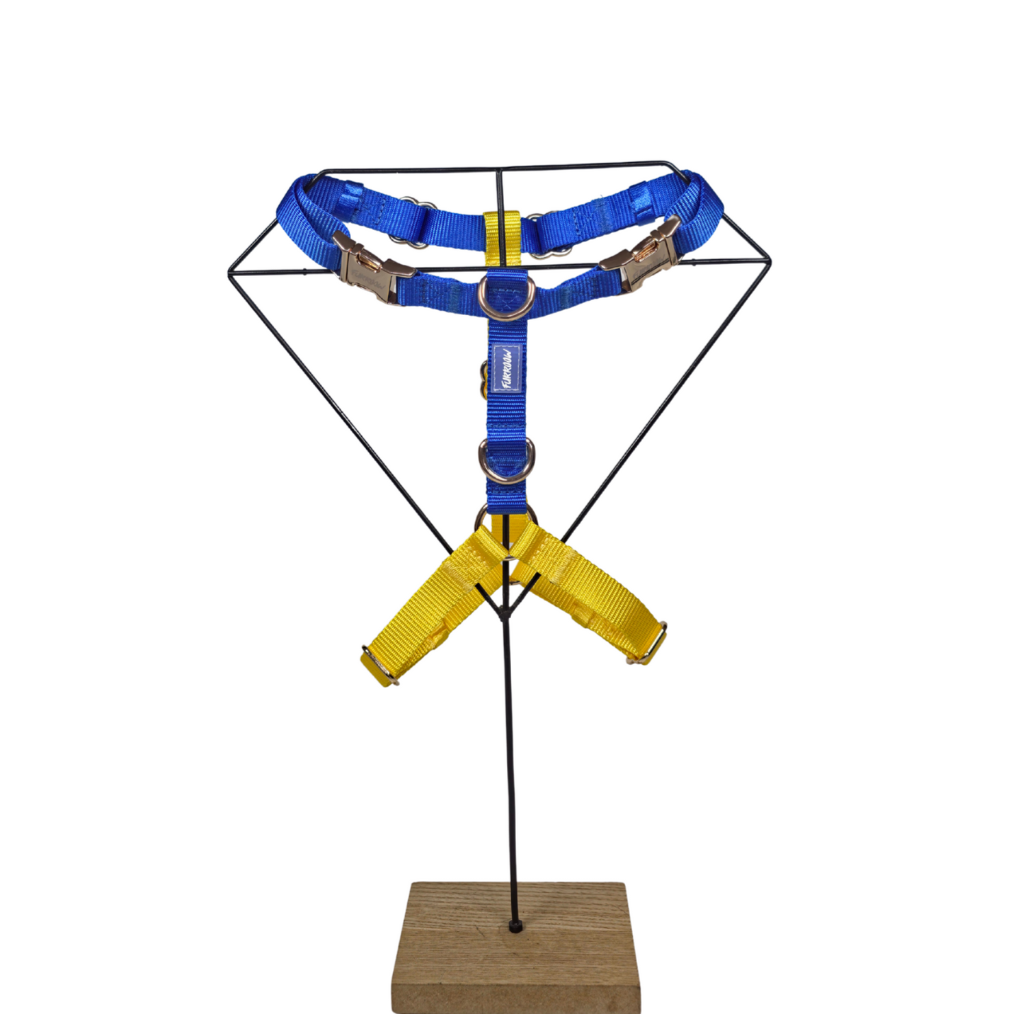 Royal Blue en Sunshine Yellow - Hondentuig