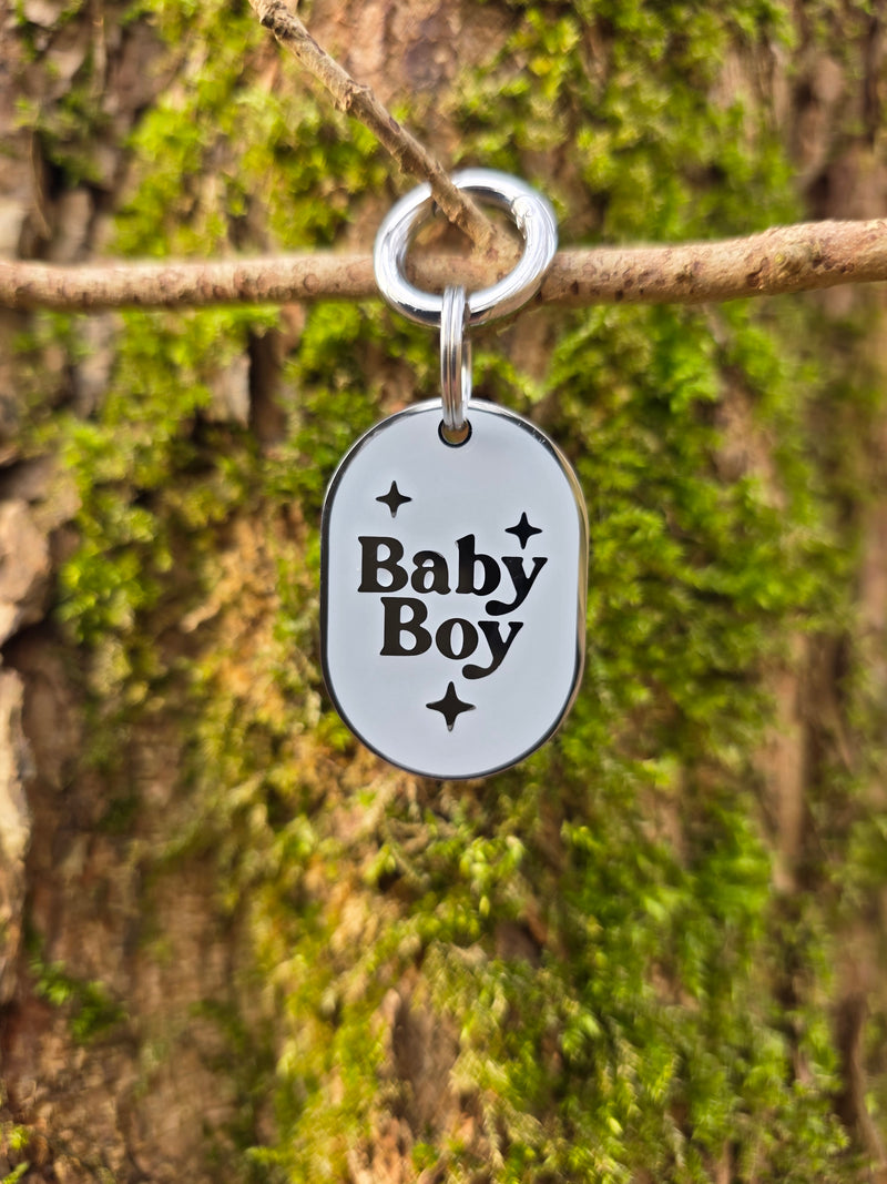 Zilveren hondenpenning Baby Boy met naam, gegraveerd RVS