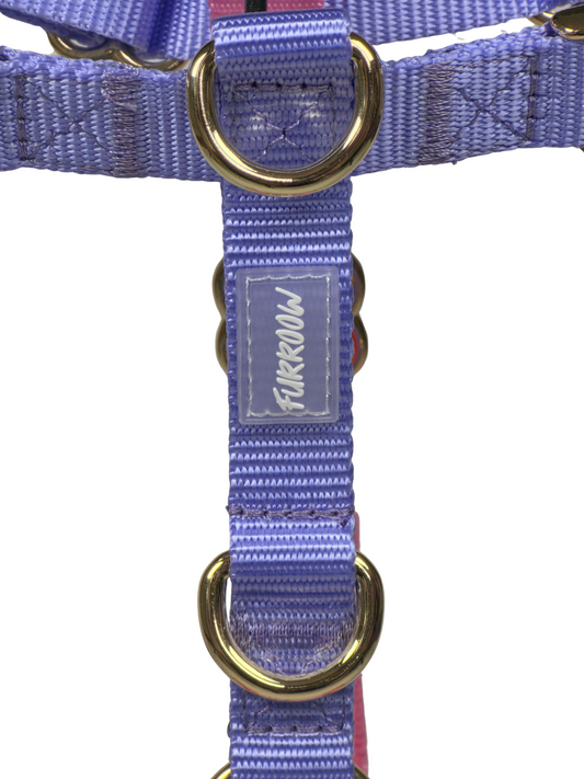 Lavendel en Blossom Pink - Hondentuig