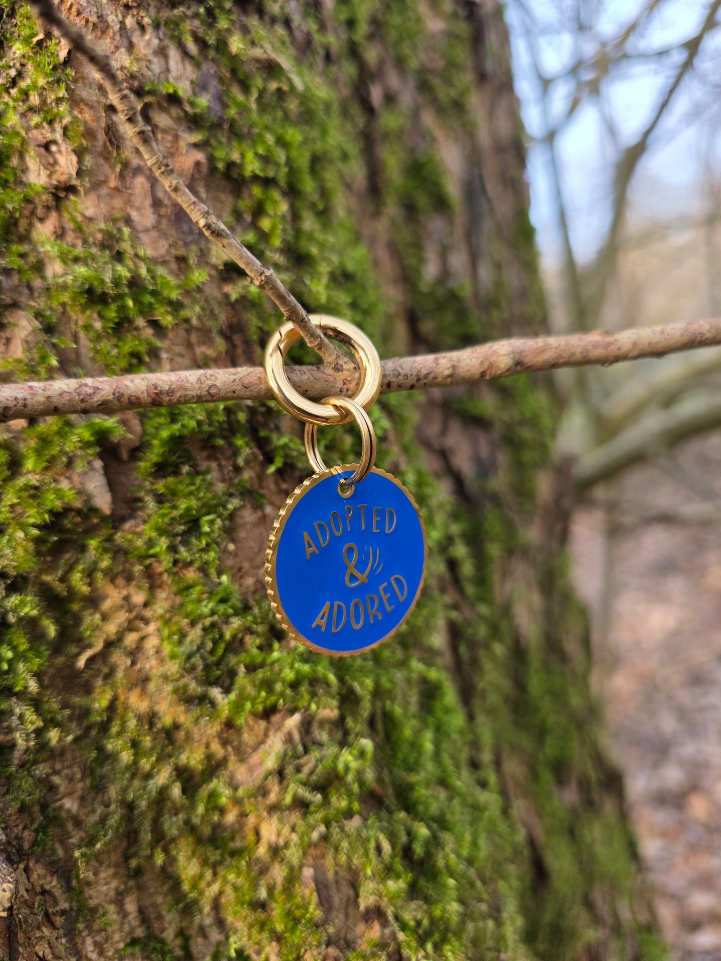 Adopted & Adored | Goud