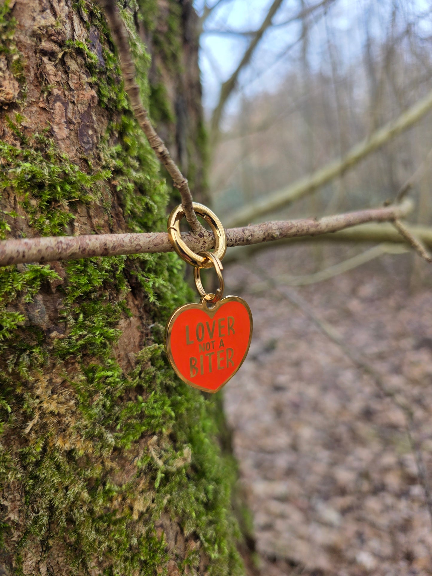 Lover not a biter | Goud