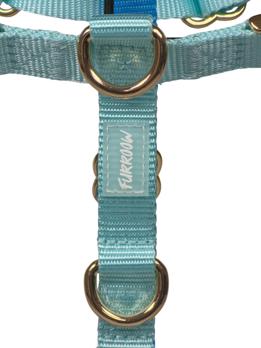 Turqouise en Island Blue - Hondentuig