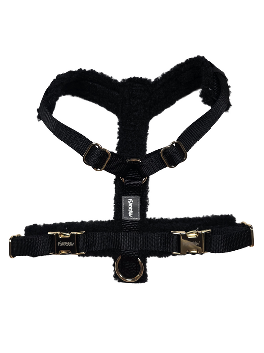 Zwart - Hondentuig Teddy