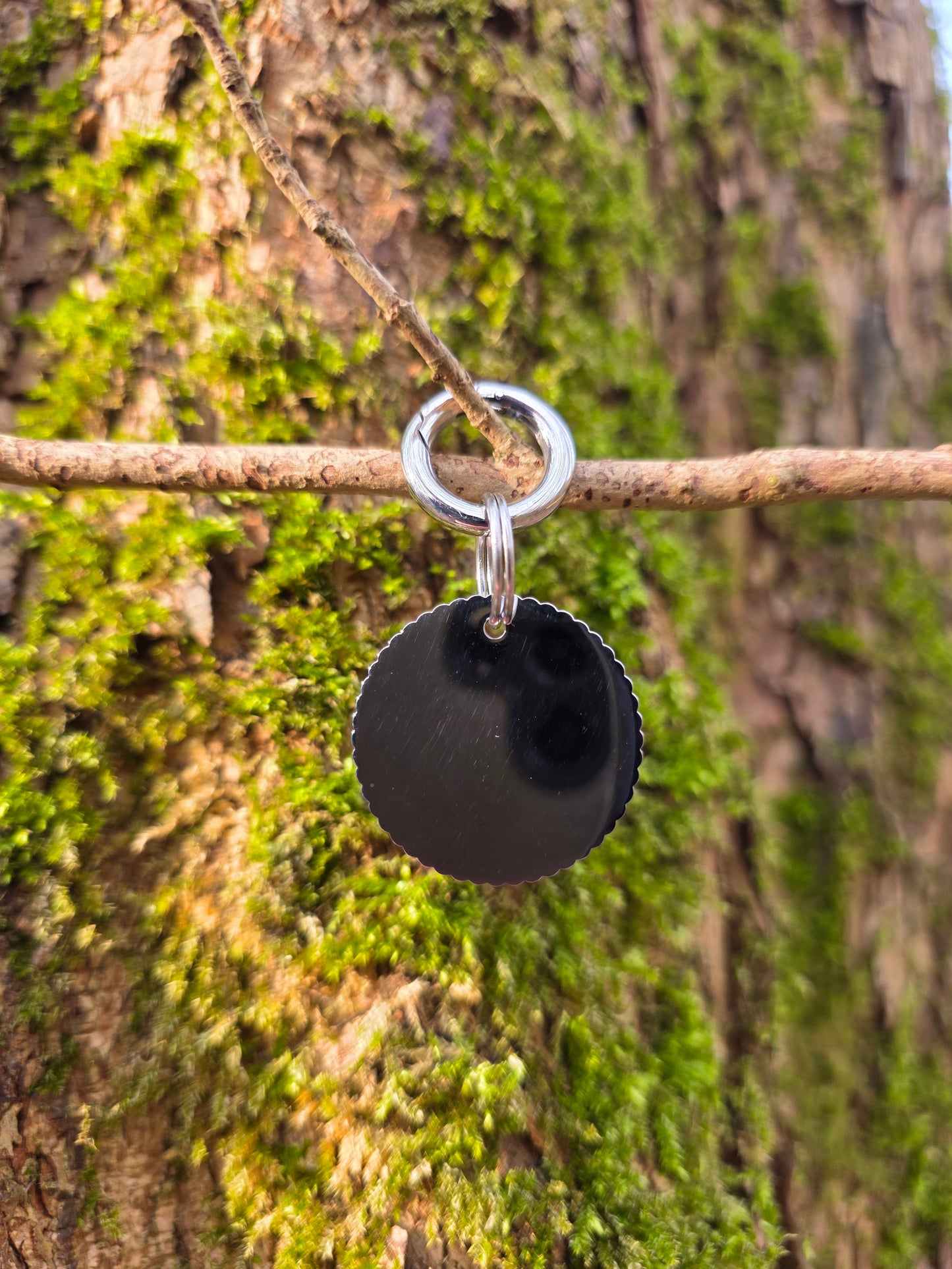 Adopted & Adored | Zilver