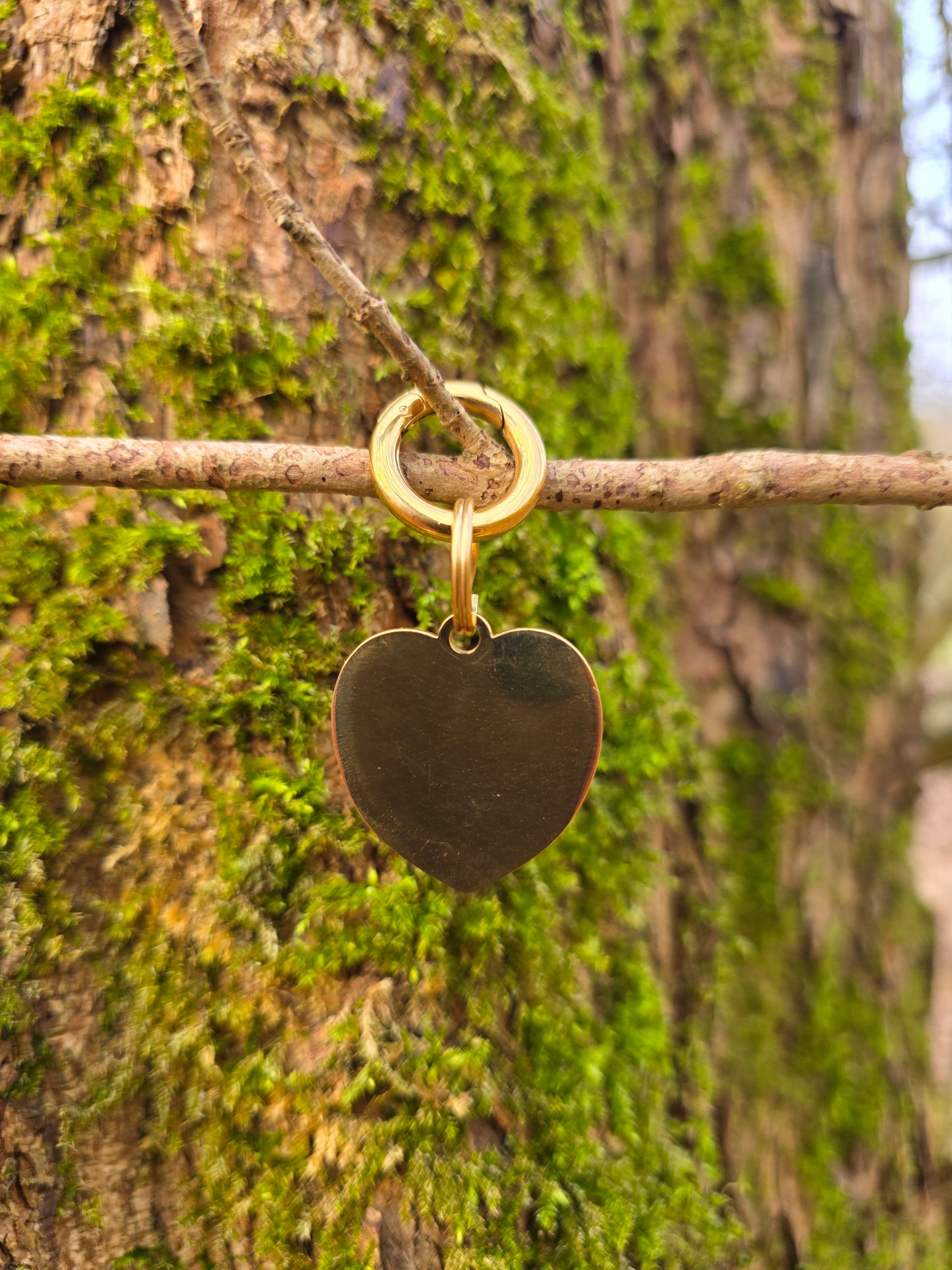 Lover not a biter | Goud