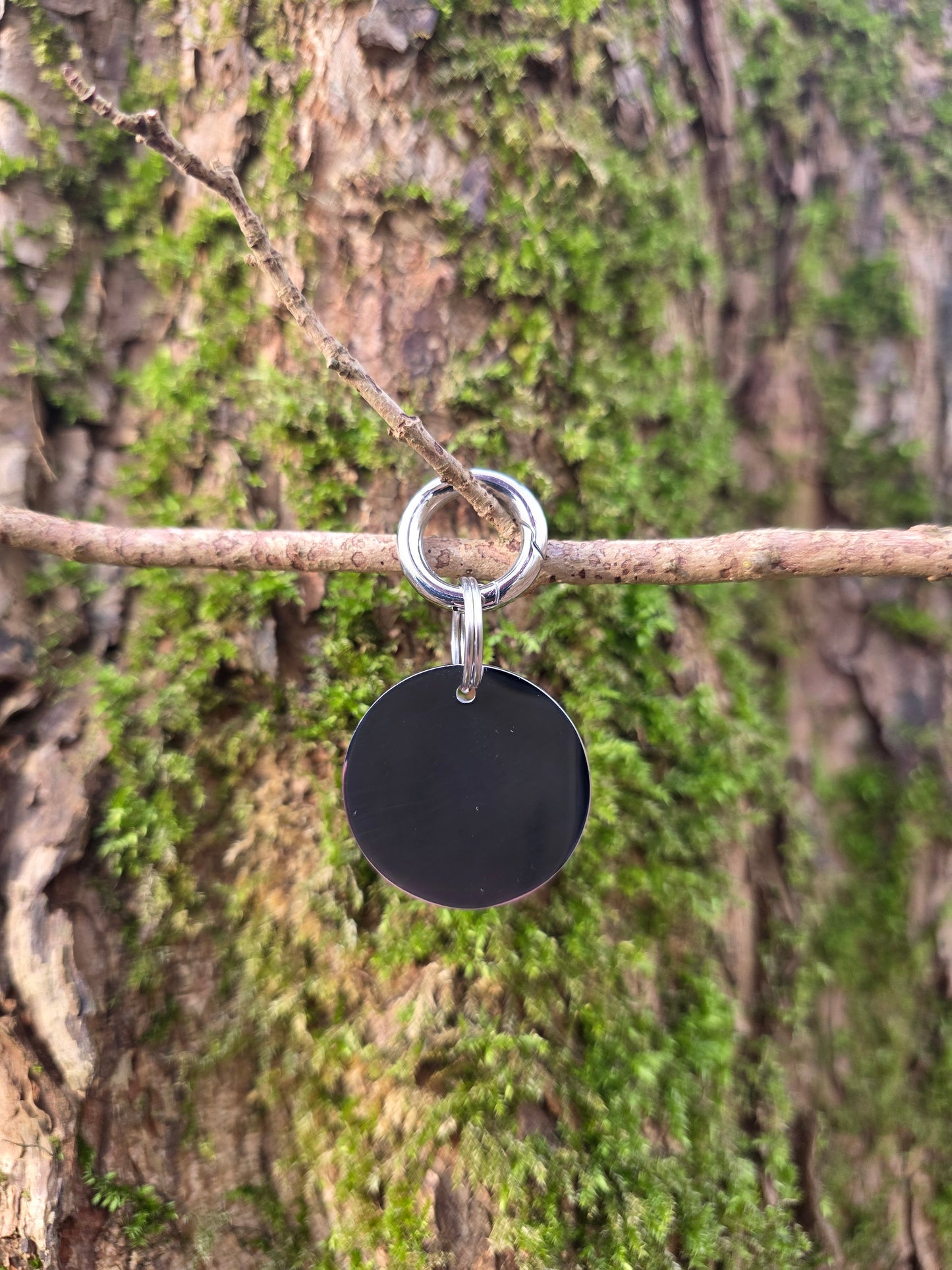 Nap Hard / Play Hard | Zilver