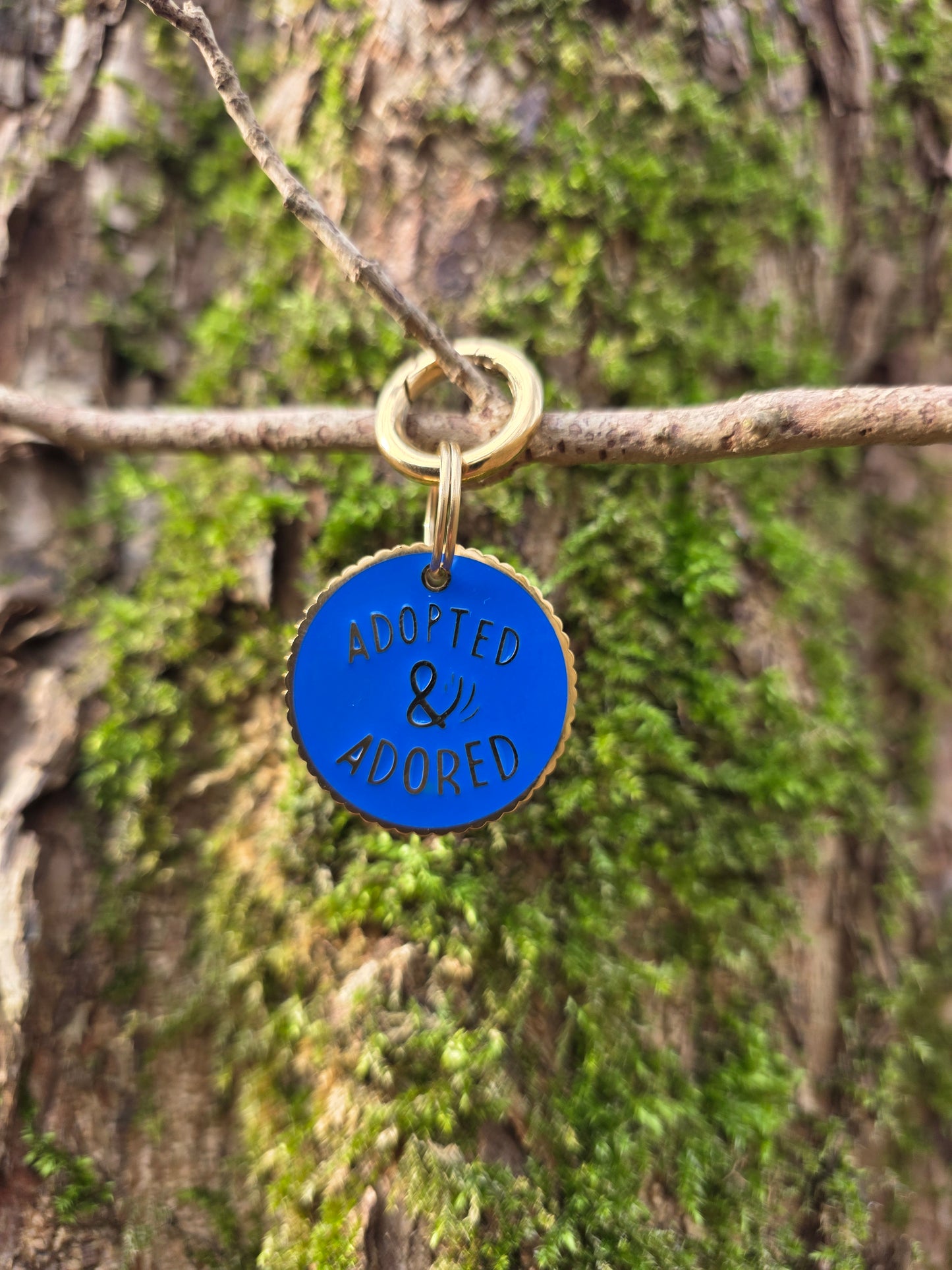 Adopted & Adored | Goud