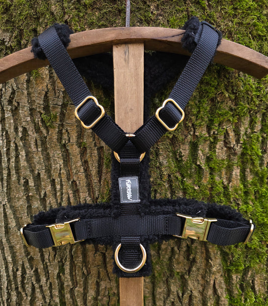 Zwart - Hondentuig Teddy