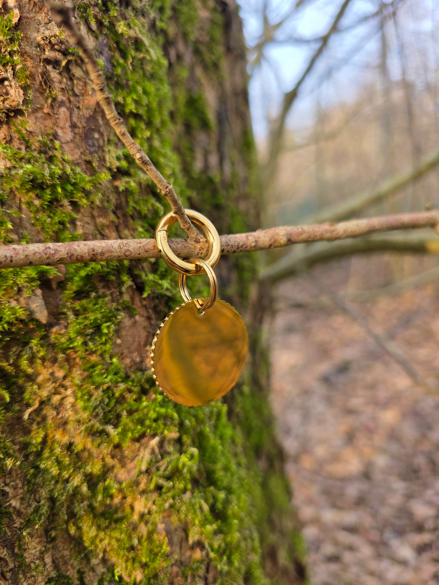 Adopted & Adored | Goud