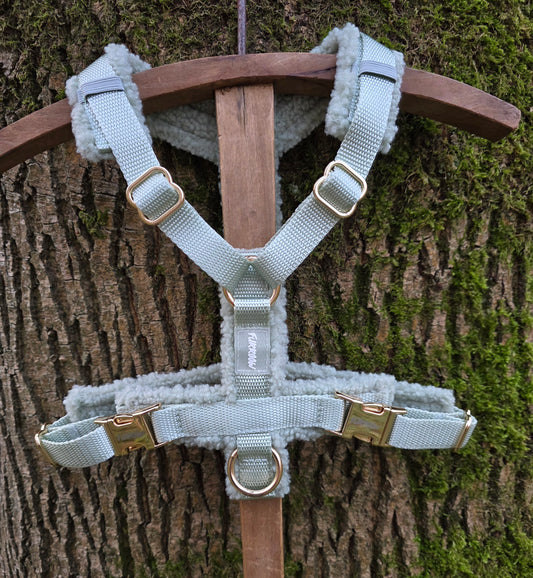 Mint Groen - Hondentuig Teddy