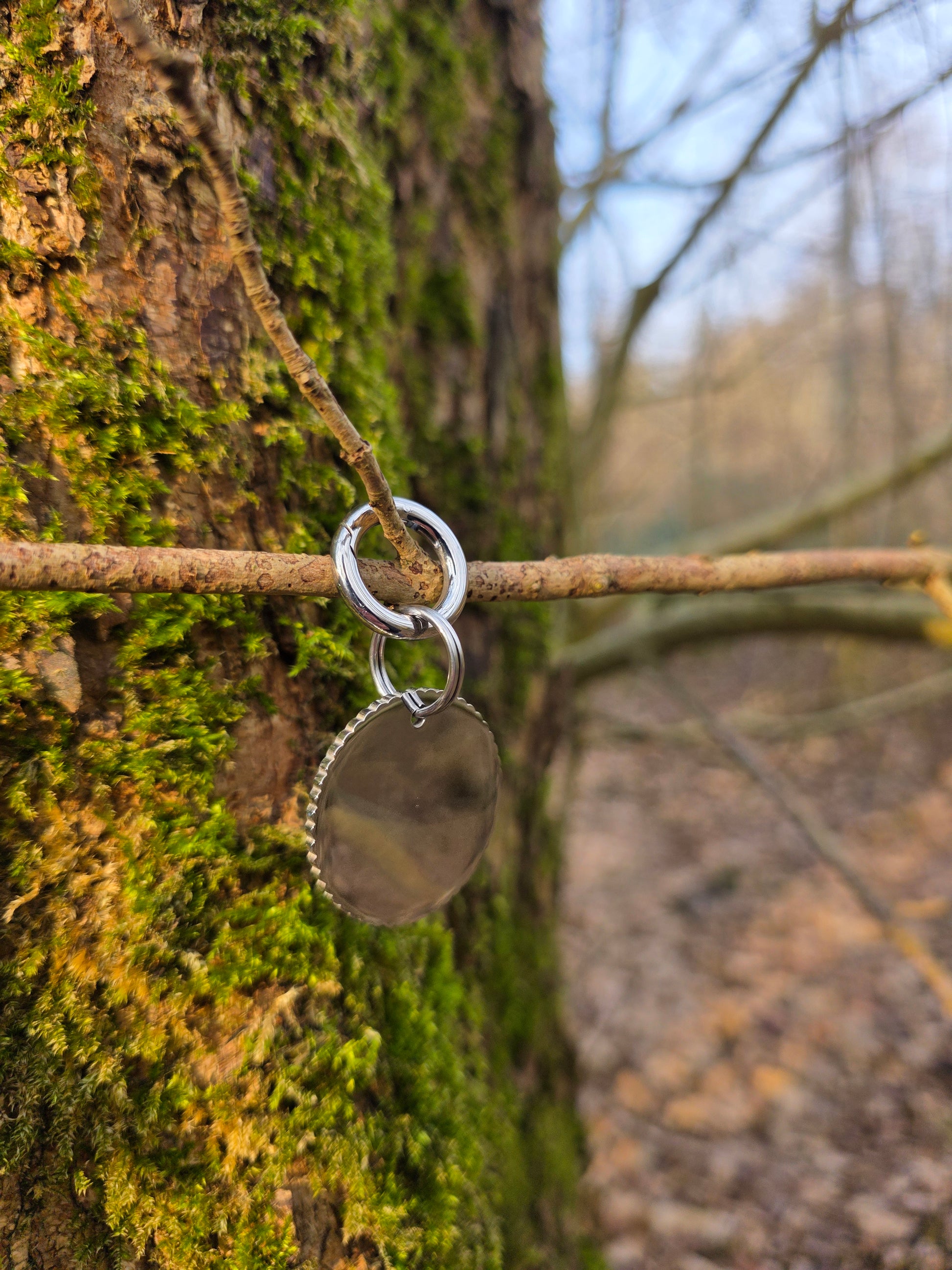 Hondentag hondenpenning personaliseerbaar graveer achterkant