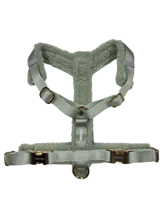 Mint Groen - Hondentuig Teddy