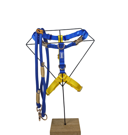 Wandelset | Royal Blue en Sunshine Yellow