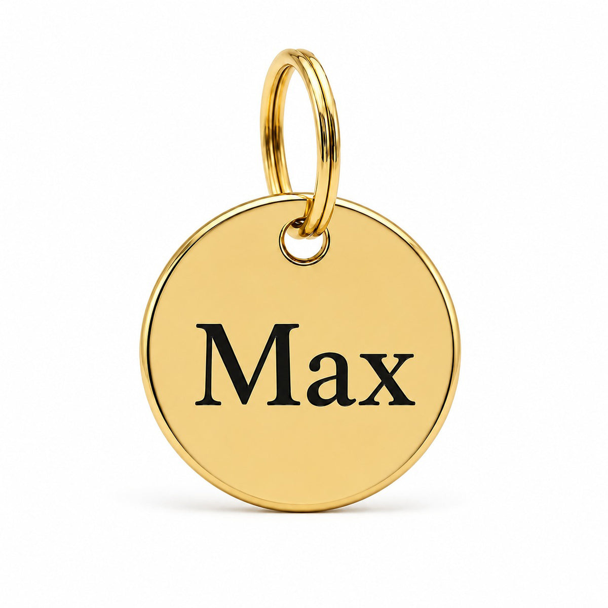 Ronde hondenpenning met naam in goud, gegraveerd met de hondennaam Max
